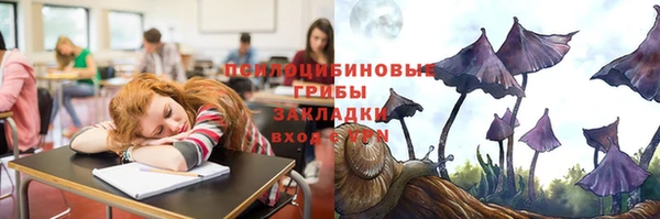 трава Няндома