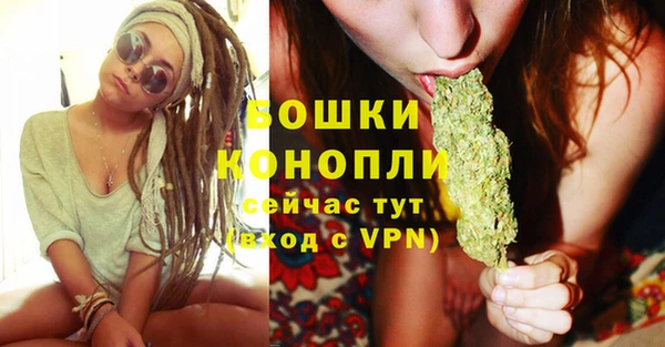 трава Няндома